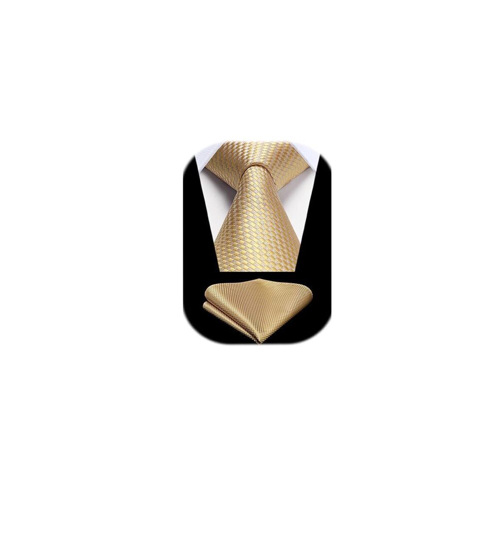 5875 Champagne Ties Formal Ties and Pocket Square Set Tie Silk Polka Dot